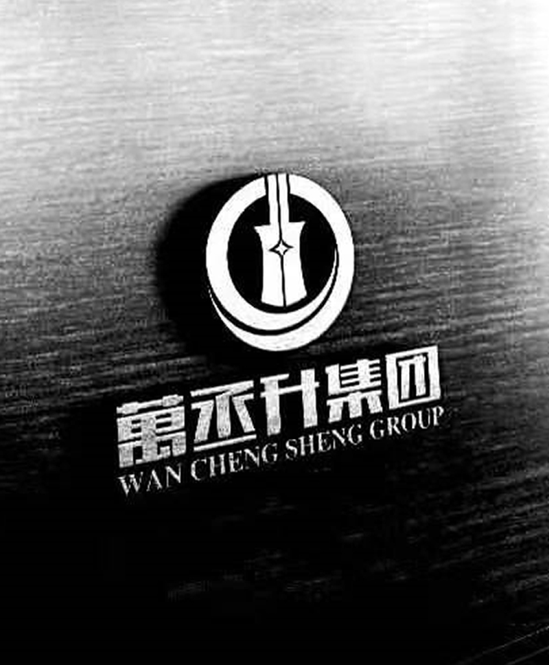 山西万丞升发展集团有限公司-申请