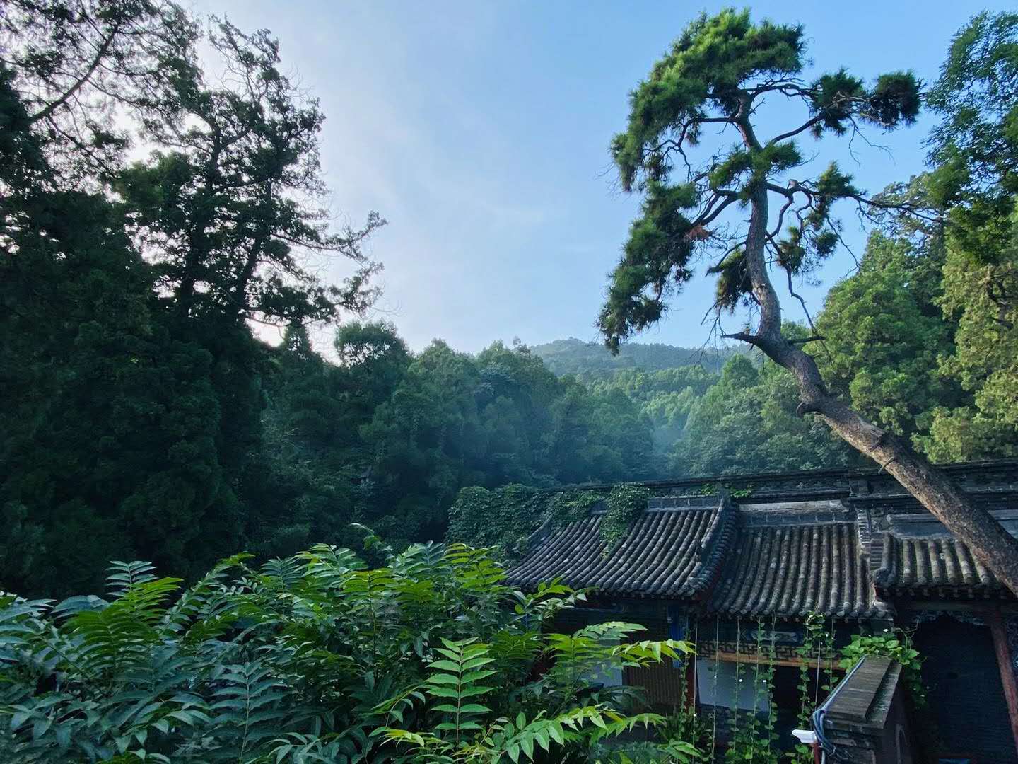 1600132152473254.jpg 微信图片_20200914163131.jpg